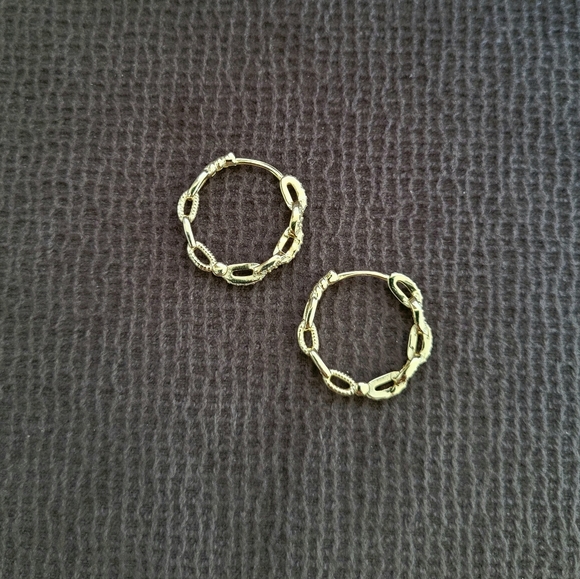 ✨️HP✨️Stella Rose🌹Gold💛 Chain🔗 Link Hoop Earrings - Picture 13 of 14